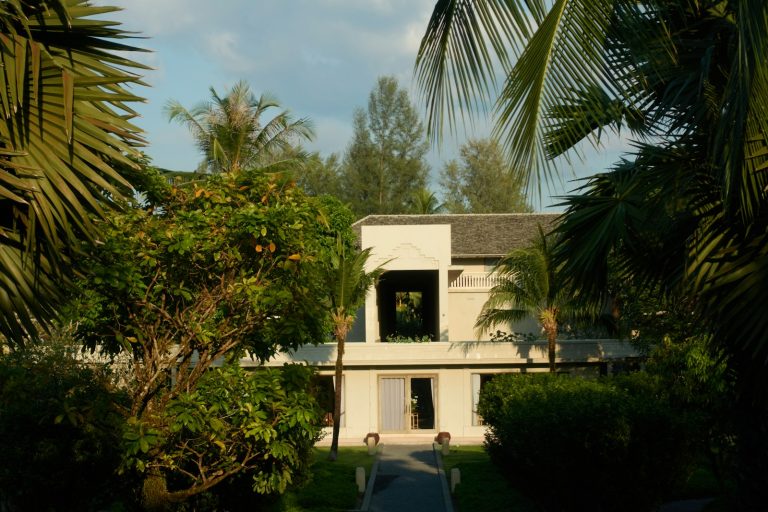 Modern house surrounded by lush tropical foliage