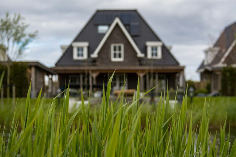 White and black house near to pond